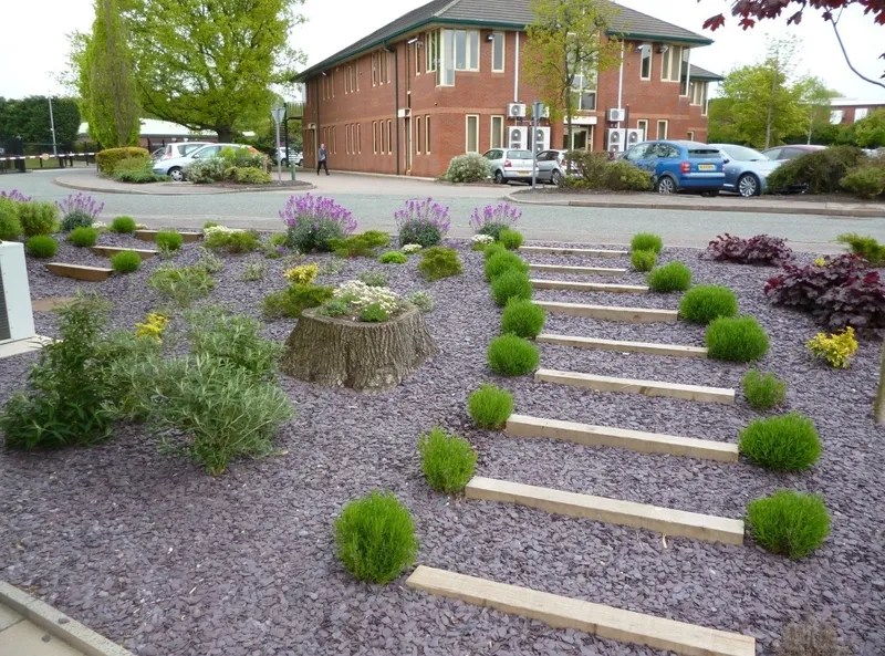 Ground Landscaping