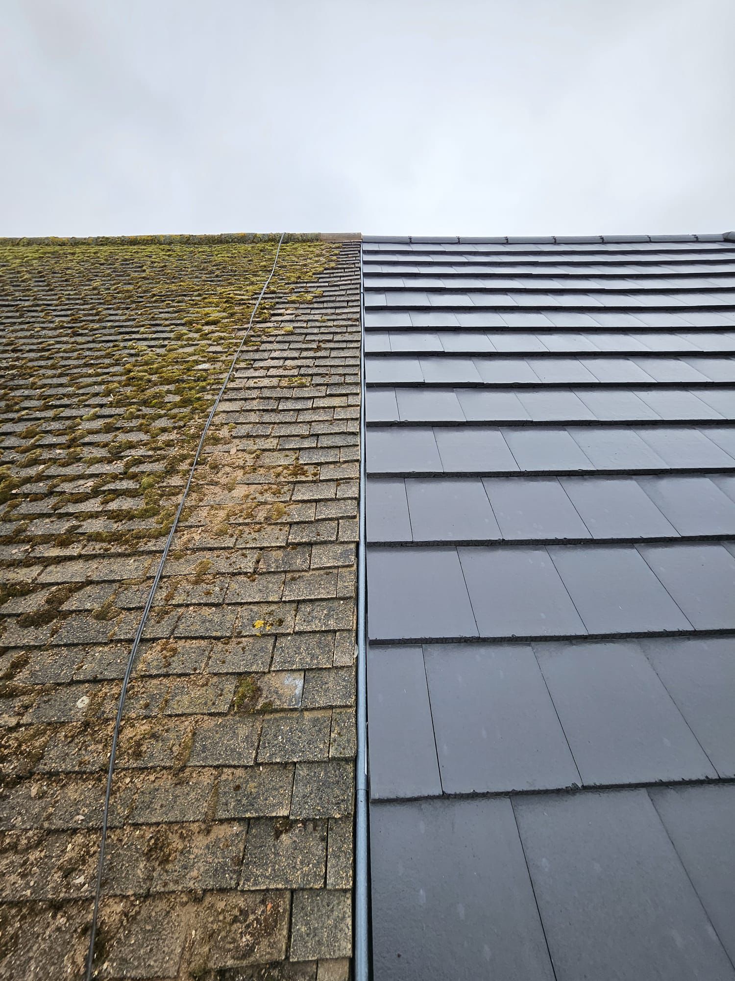 Roof Maintenance